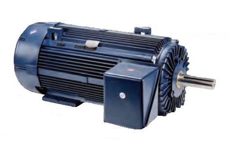 Асинхронные электродвигатели Dutchi Motors WPI